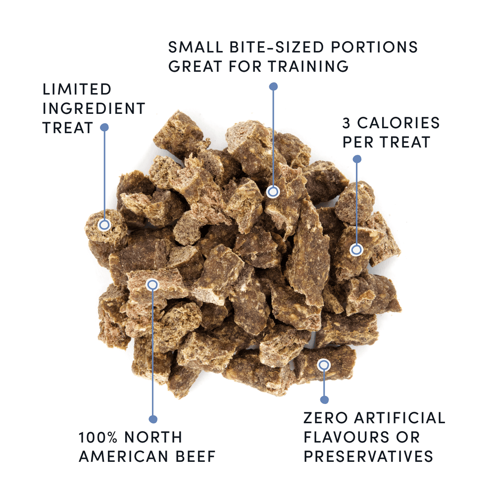 
                        
                          Semi Moist Beef Mini Trainers
                        
                      